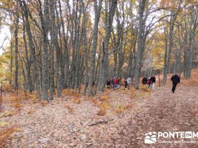 El Castañar de El Tiemblo, viajes senderismo madrid; senderismo en españa